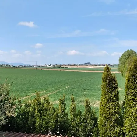 Finca Rossini Homestay Fuldatal